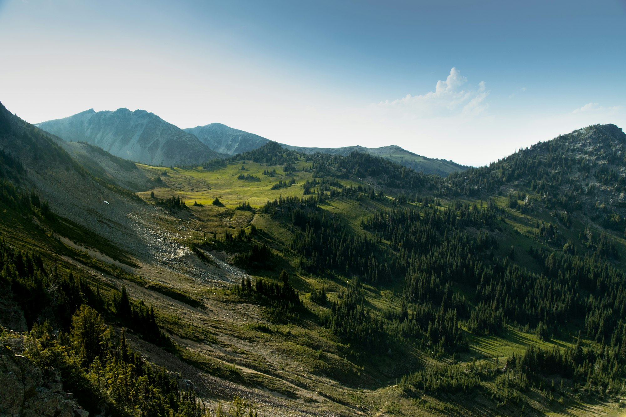 Grüne Berglandschaft im Schwarzwald bei Sonnenschein